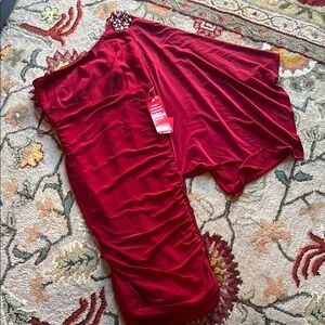 Adrianna Papell Vibrant Red Dress